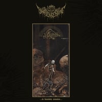 Schattenfestung - In desolate remains (Digi-pack)