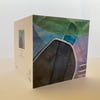 winter swimming cards mixed - pack of 4