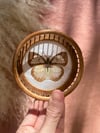 Duo de petits sous-verres papillons en bambou vintage. 