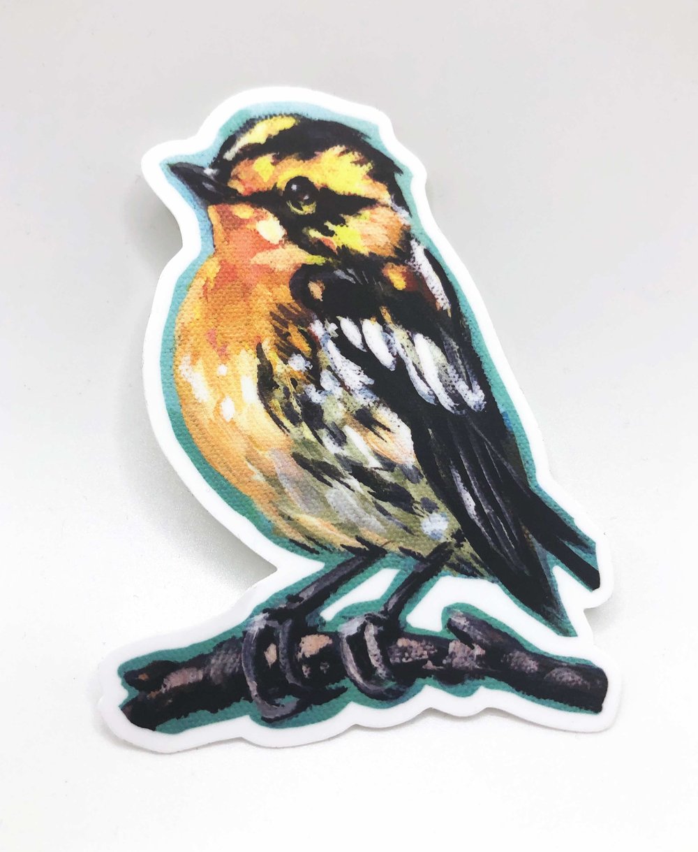 Happy Warbler Sticker – Blackburnian warbler vinyl sticker