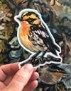 Happy Warbler Sticker – Blackburnian warbler vinyl sticker