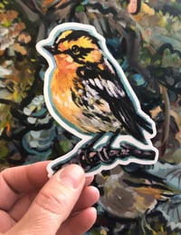 Image 1 of Happy Warbler Sticker – Blackburnian warbler vinyl sticker