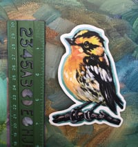 Image 5 of Happy Warbler Sticker – Blackburnian warbler vinyl sticker