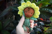 Image 1 of Mirasol- 5 inch Baby Flower