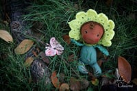 Image 4 of Mirasol- 5 inch Baby Flower