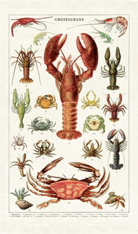 Image 2 of Cavallini & Co. Crustaceans Vintage Style Cotton Tea Towel