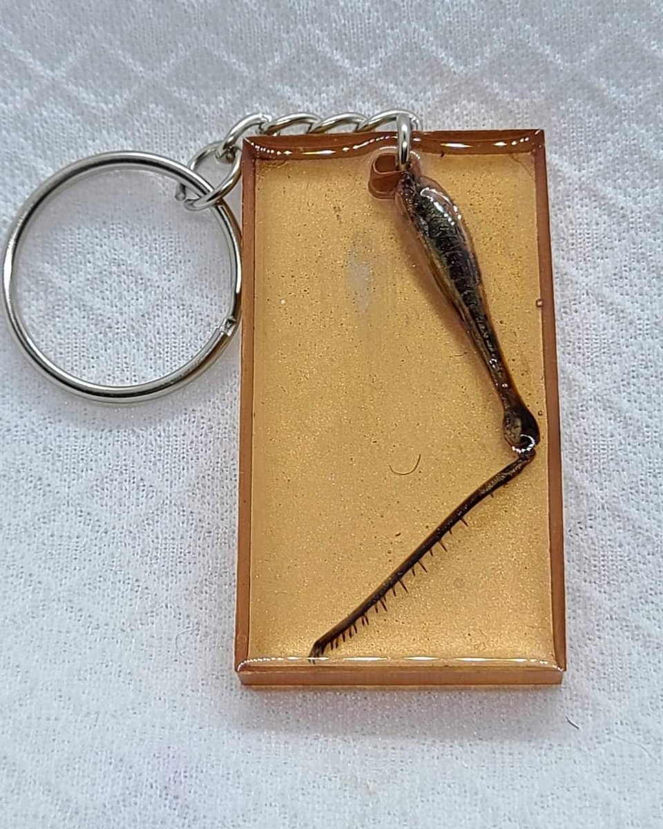 Copper Hopper The Bone Vault