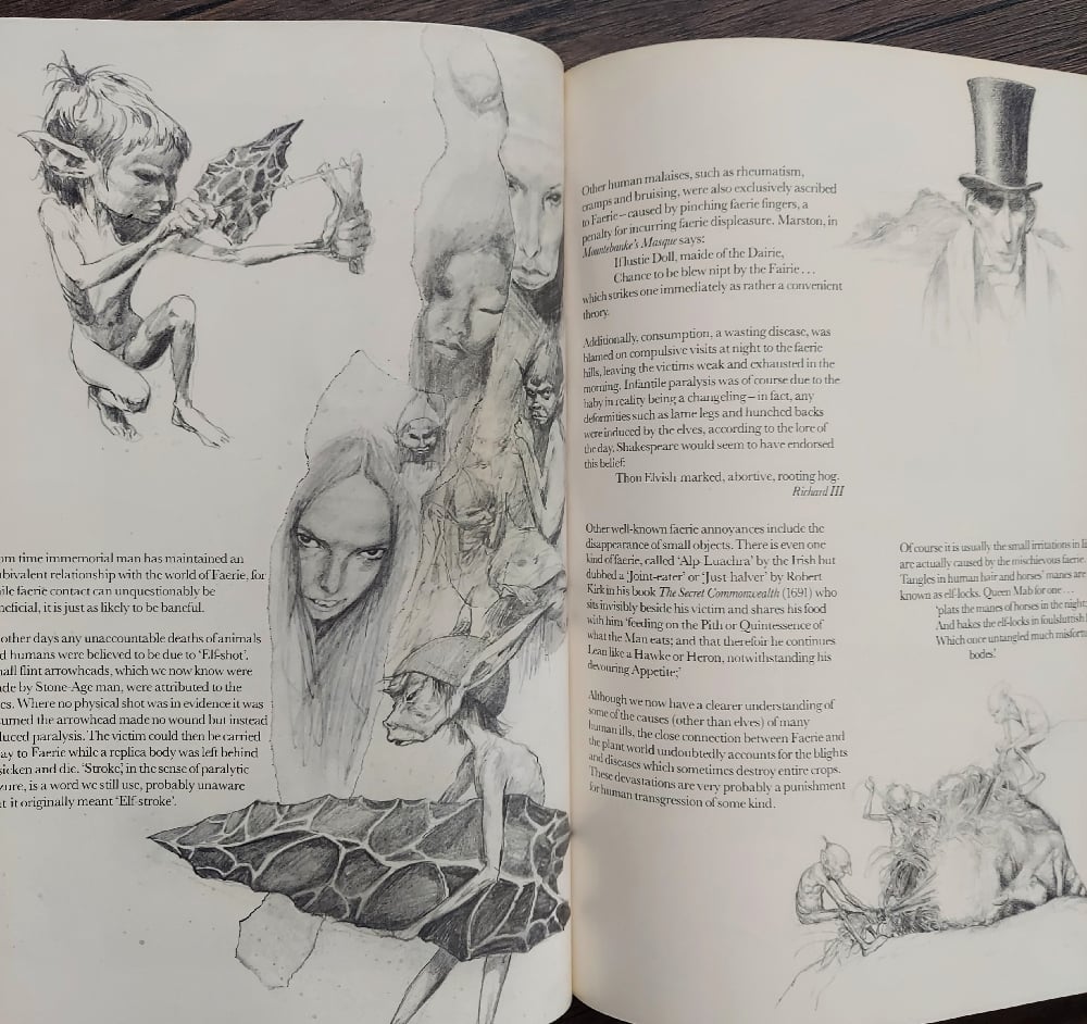 Faeries, by Brian Froud & Alan Lee