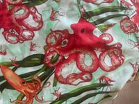 Image 2 of Octopus, Squid, Shrimp and Bull Kelp