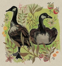 Image 1 of canada goose print