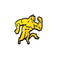 Pin's STEROID CAT