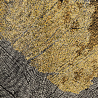 Image 3 of Seafan Scarf