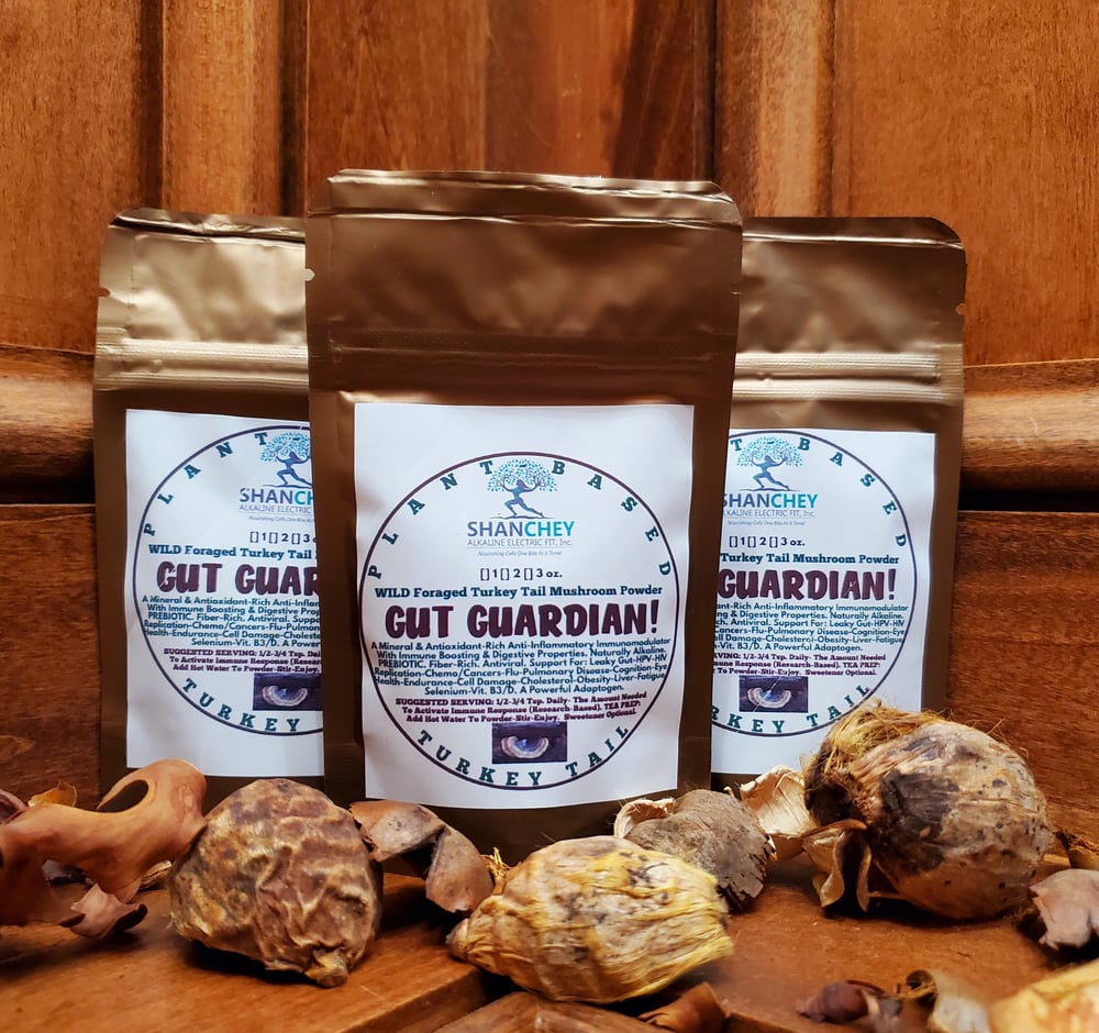 WILD MEDICINAL MUSHROOMS: Lion's Mane-Chaga-Turkey Tail-Maitake-Cordyceps (Himalayan Viagra). DNA.