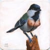 "Japanese Tit (Parus Minor)", 2017