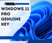 windows 11 pro genuine license key