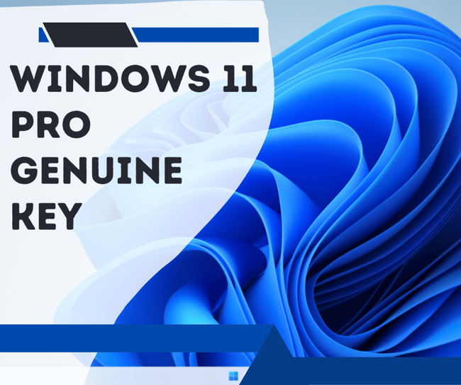 windows 11 pro genuine license key | phillthystuff