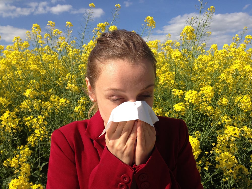 Ahhh-Chooo! Allergies-Detoxer-Bones-Blood Sugar-Blood Pressure-Respiratory-