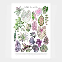 Image 1 of Pink Plants Poster