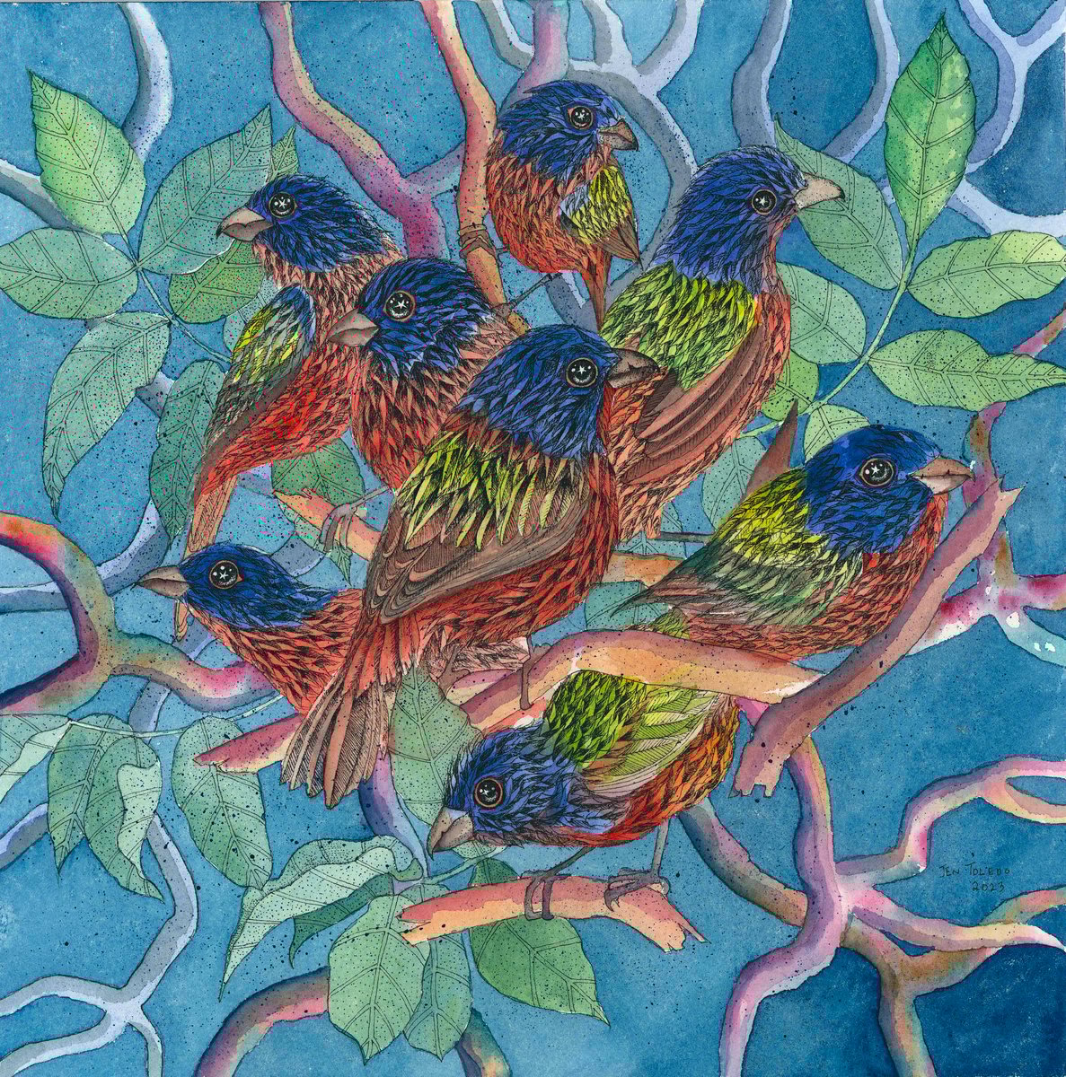 Painted Buntings Jen Toledo