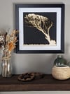 Windswept Tree - Framed Woodcut 