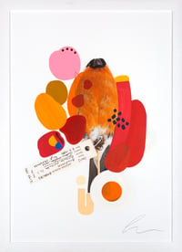 Image 1 of Bullfinch (Primary Red)