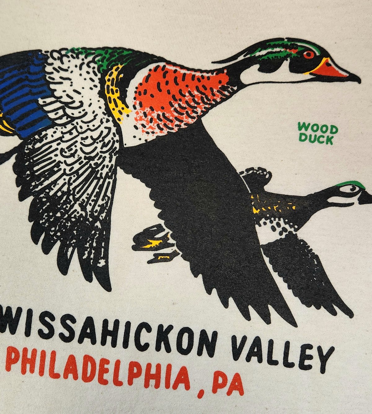 Image of Wissahickon Wood Duck