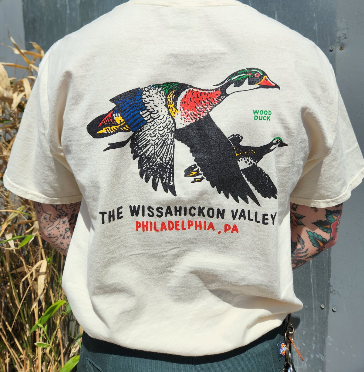 Image of Wissahickon Wood Duck