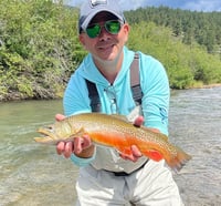 Image 1 of Boxwood Gulch, CO