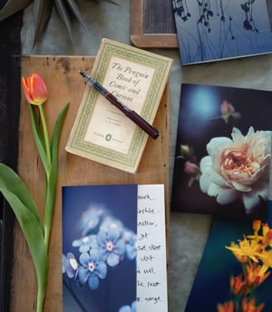 Image of Large greetings cards with gift box - six original designs with envelopes. Brights collection