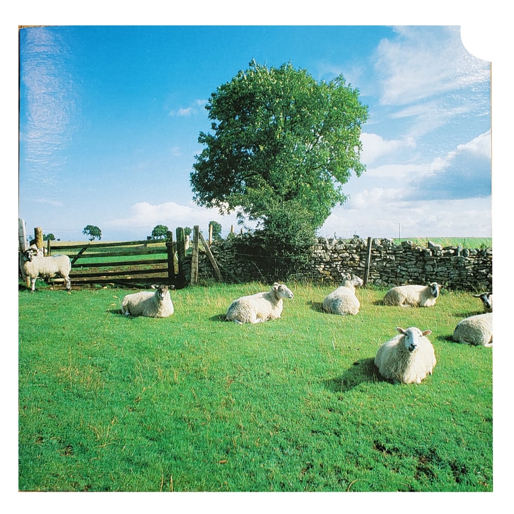 KLF-Chill Out Vinyl LP/ Rare-CUT PROMO