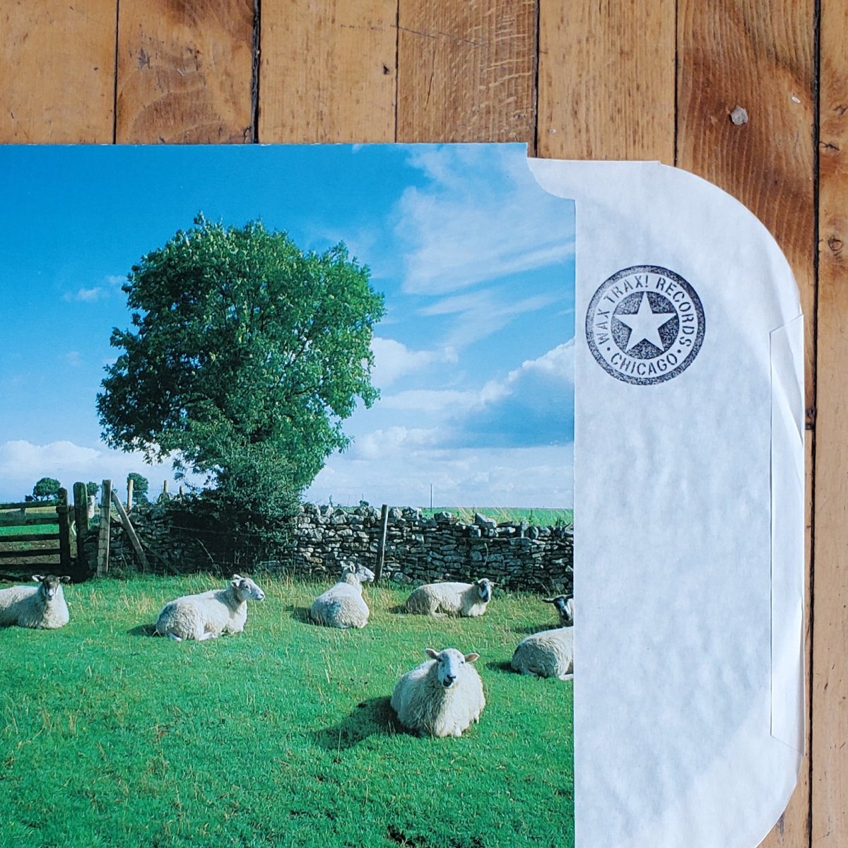 KLF-Chill Out Vinyl LP/ Rare-CUT PROMO | Wax Trax! Records