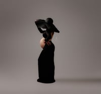 Image 1 of Mini Session Maternity or Birthday 