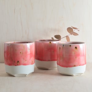 Image of set of 2 coral pink altered tumblers