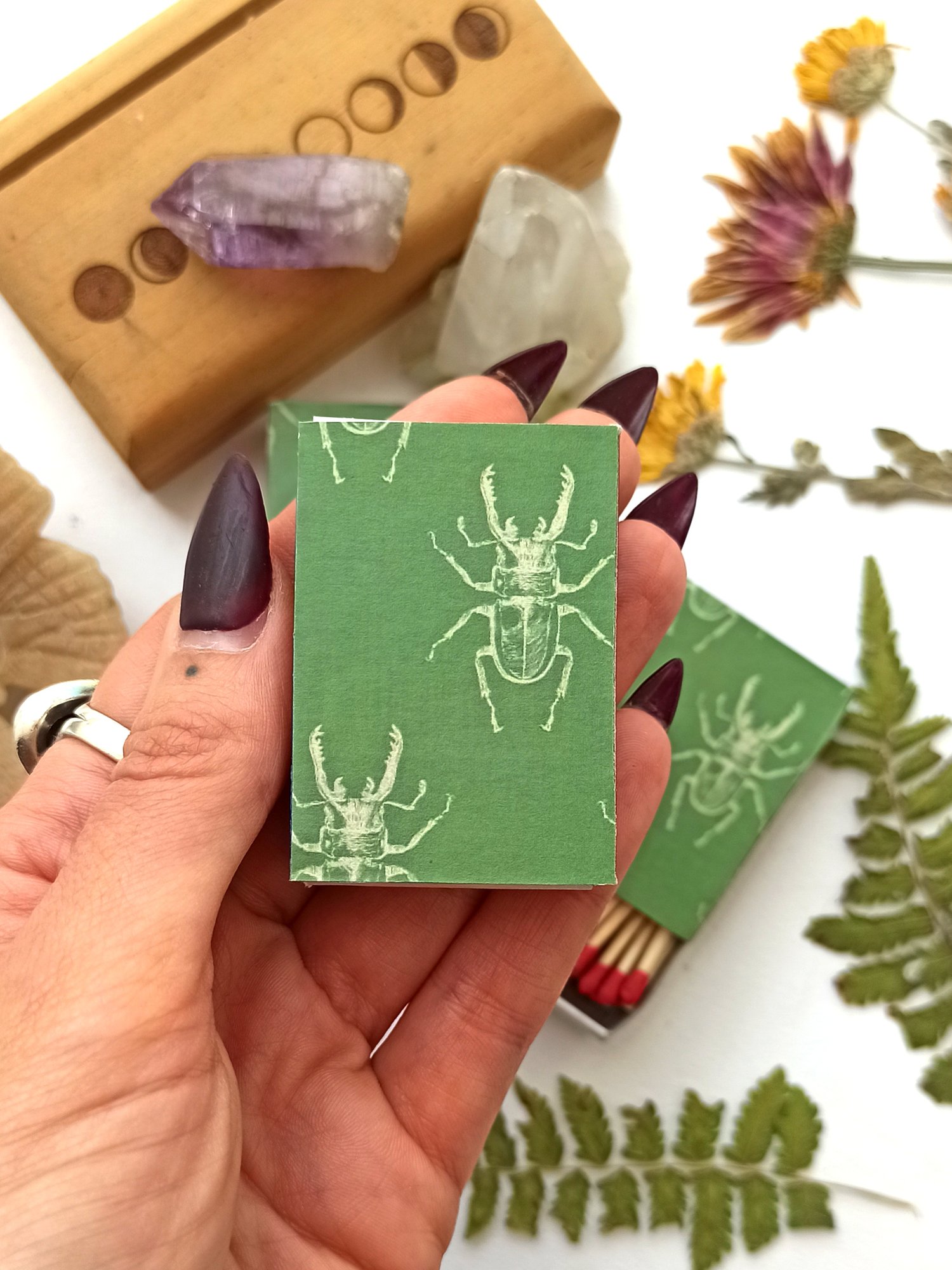 Image of Stag Beetles Matchbox 