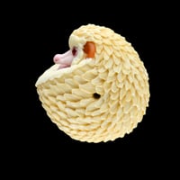 Image 5 of XXXL. 3D Balled Up Albino Hedgehog - Flamework Glass Sculpture