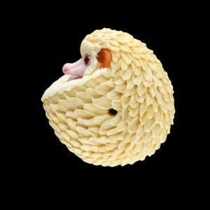 Image of XXXL. 3D Balled Up Albino Hedgehog - Flamework Glass Sculpture