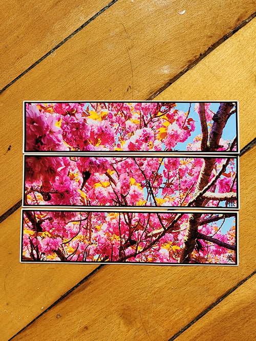 Image of Cherry blossom Tee