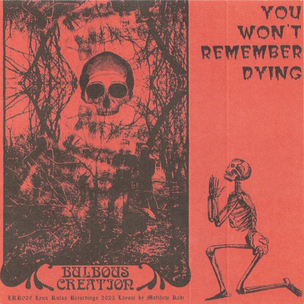 Bulbous Creation Cassette