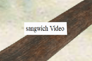sangwich Video