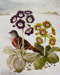 Image 2 of Bird book by Mary Fedden