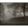 A misty start.