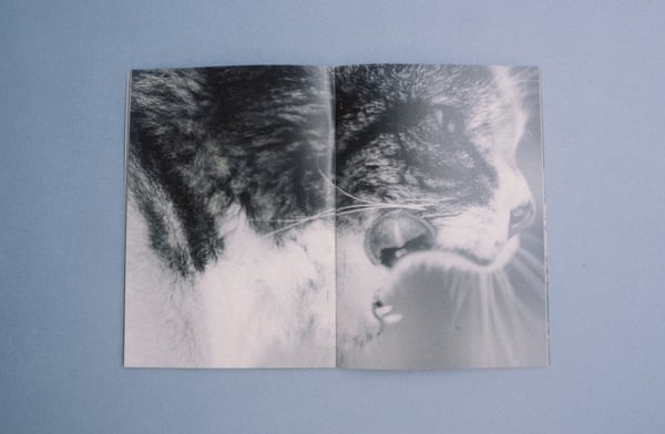 Image of BOURNE - v