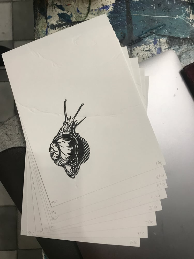 Image of Város és vadon: Csiga