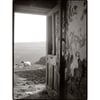 Sheep and door