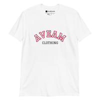 Image of Camiseta Aveam college básica hombre