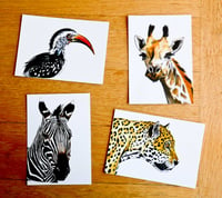 Lot de 4 cartes postales - Animaux d'Afrique