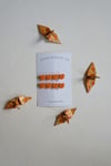 Barrette Wunderkin & Co Persimmon