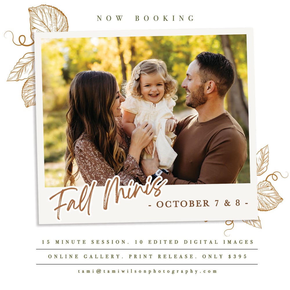 Image of FALL MINI SESSIONS - October 7 & 8