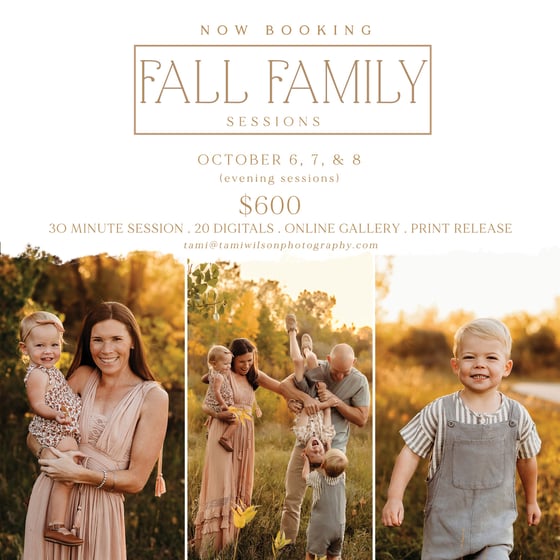 Image of FALL Family Sessions - 30 minutes - EVENING - OCTOBER 6, 7 & 8 