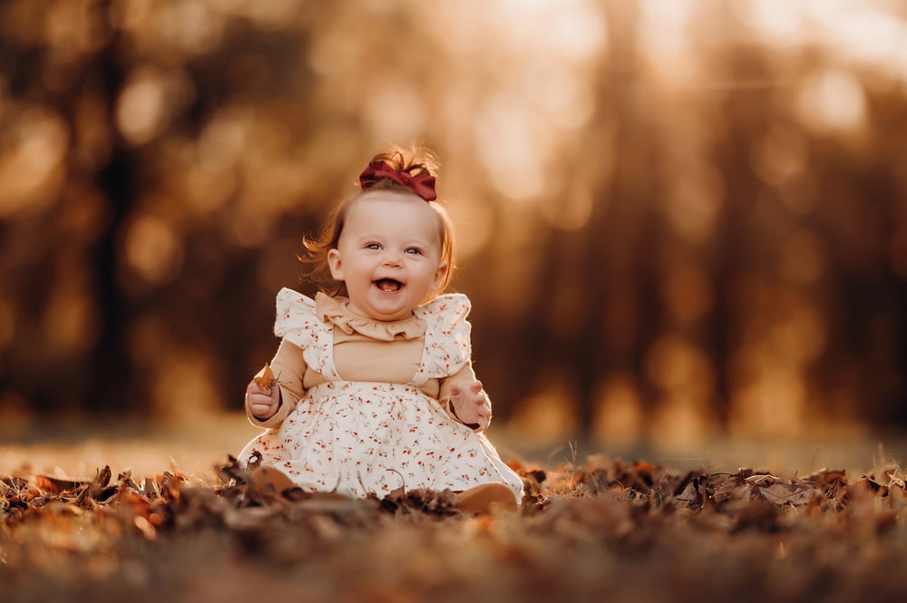 Image of Fall Minis